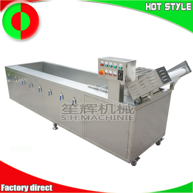 Machine de traitement des aliments laveur de fruits et légumes Shenghui