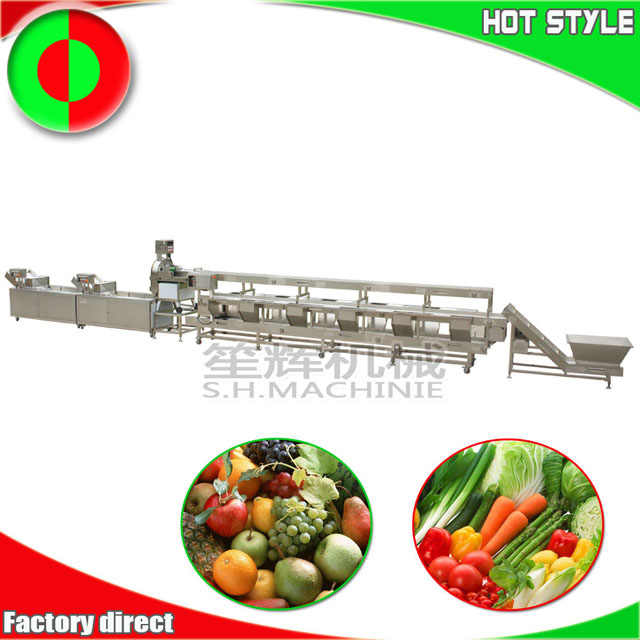 Machine de traitement de fruits et légumes